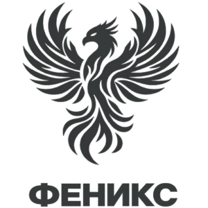 fenics logo back